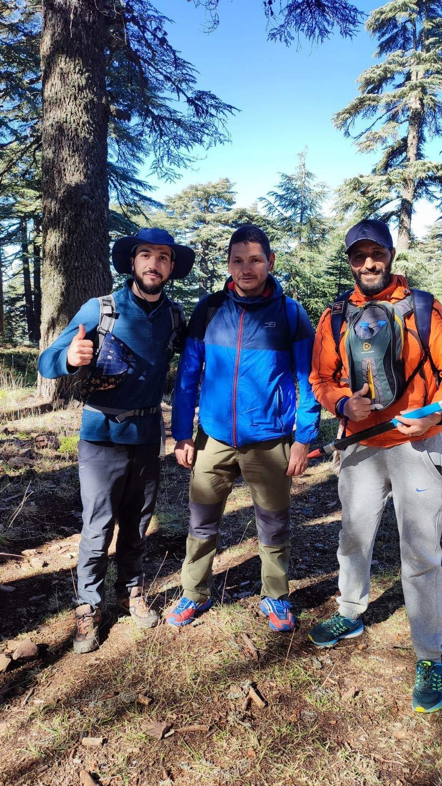 Three guides standing together in the cedar forest before a trek
